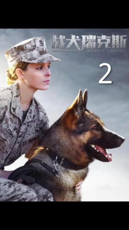 战犬 在线观看,忠诚守护，生死较量  第2张