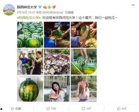 长清大学吃瓜免费播放,吃瓜免费,校园生活新潮流 第3张 长清大学吃瓜免费播放,吃瓜免费,校园生活新潮流 第3张